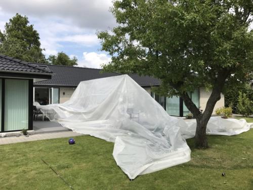 2017-07-14-14-41-37 2869 IMG 2869